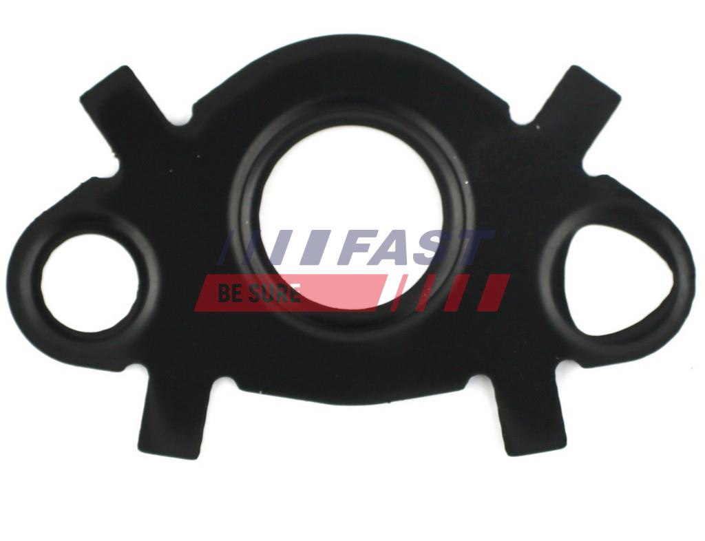 FAST Dichtring, Ölkühler ft49547 für Citroën Iveco