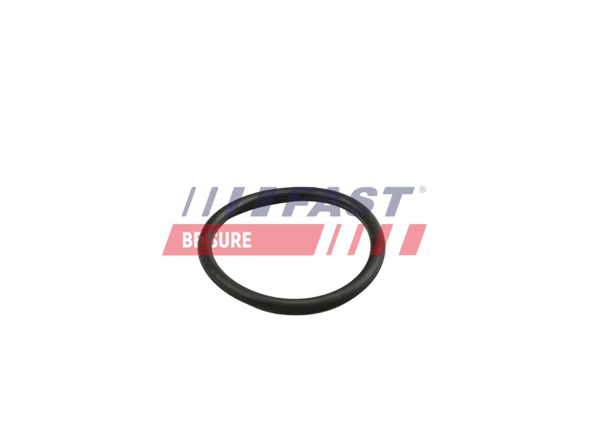 FAST Dichtring, Kühlmittelrohrleitung ft49919 für Mercedes
