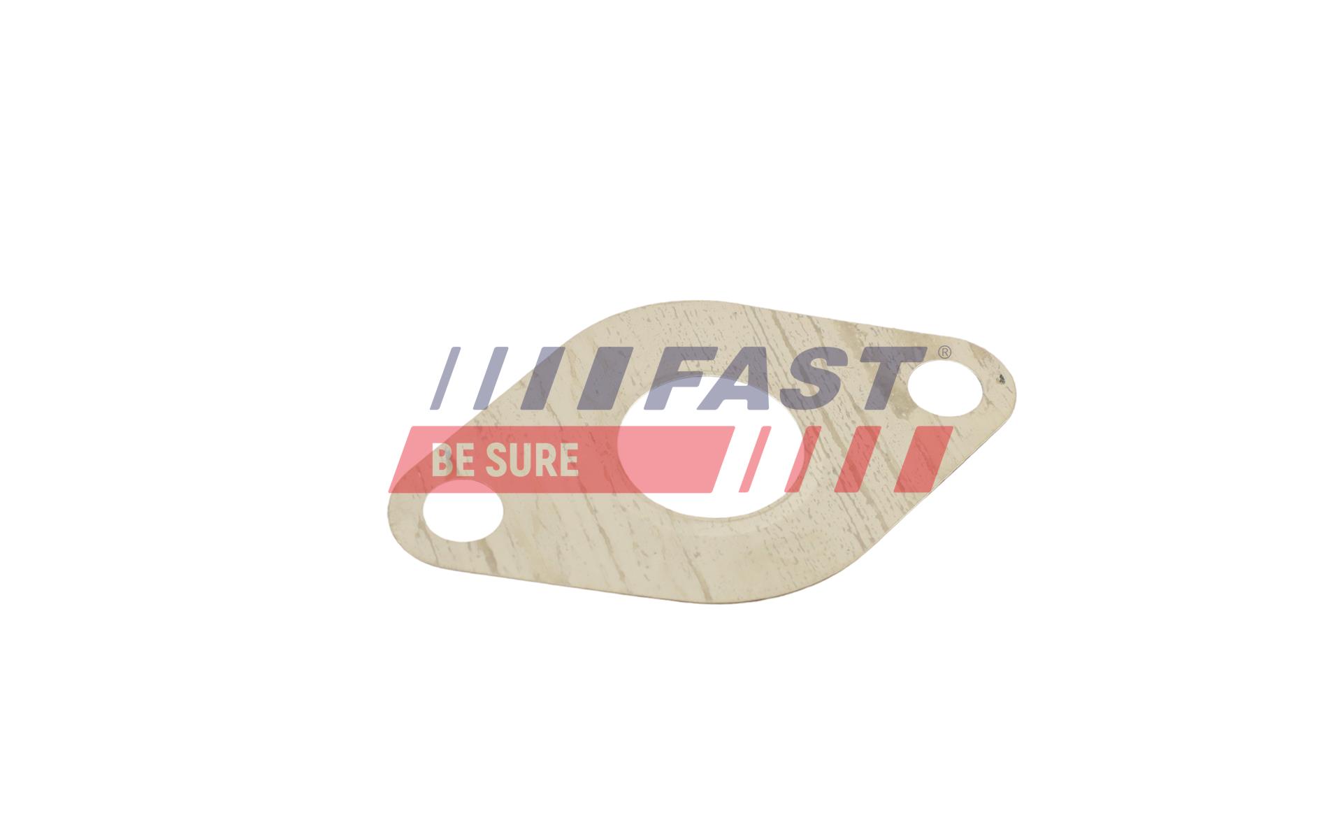FAST Dichtungssatz, AGR-System ft50609 für VW