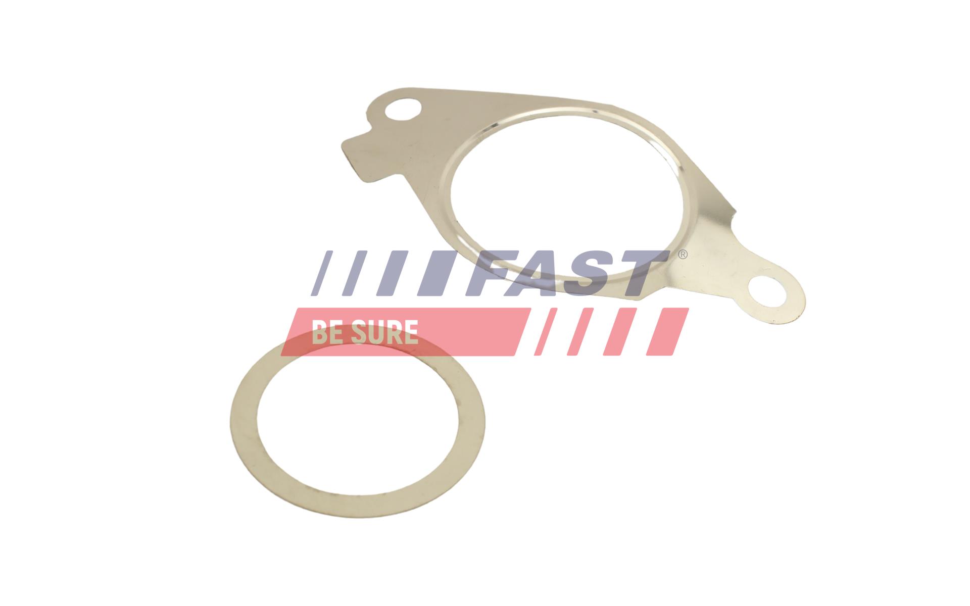 FAST Dichtungssatz, AGR-System ft50614 für Fiat Citroën