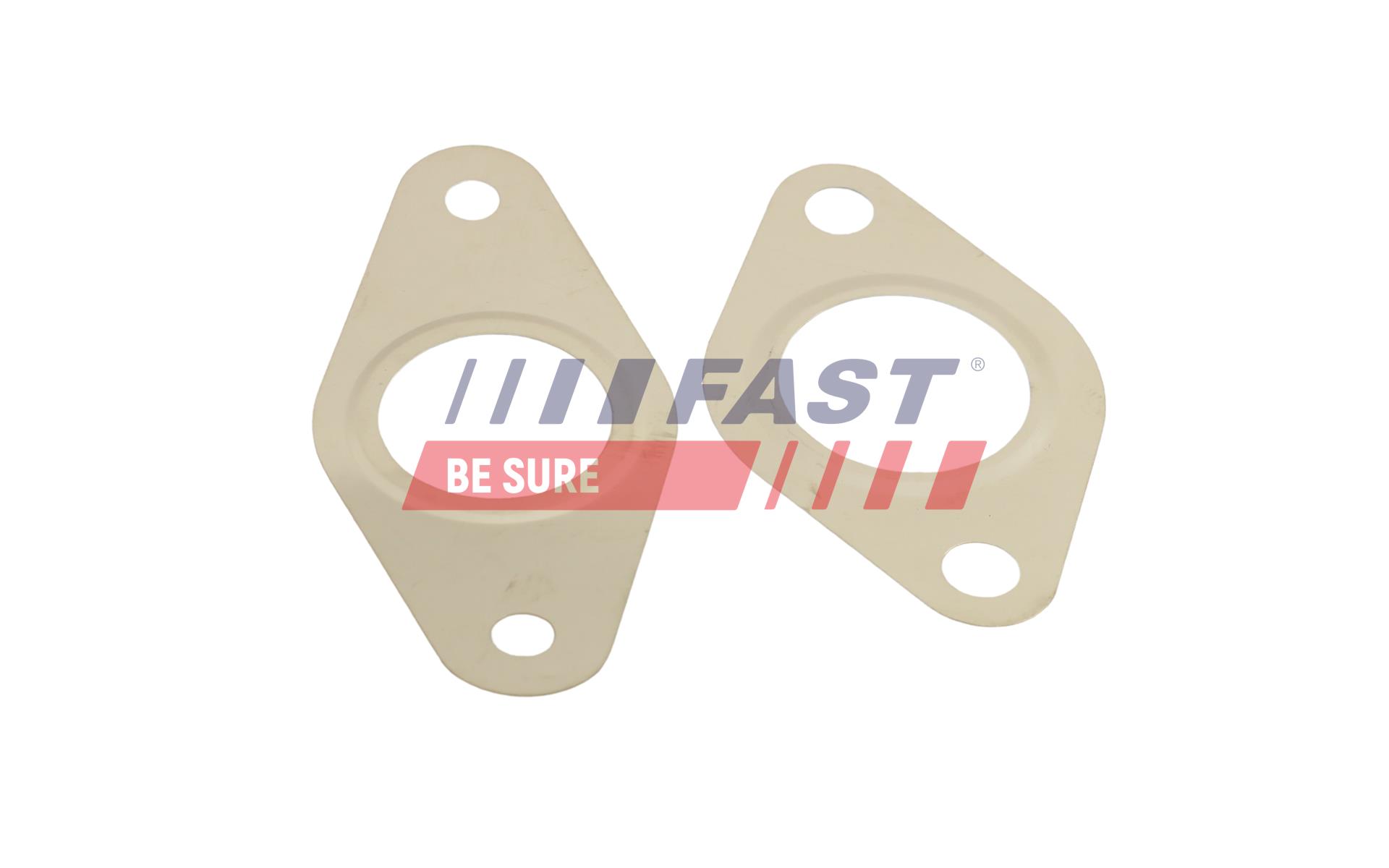 FAST Dichtungssatz, AGR-System ft50621 für Ford Fiat