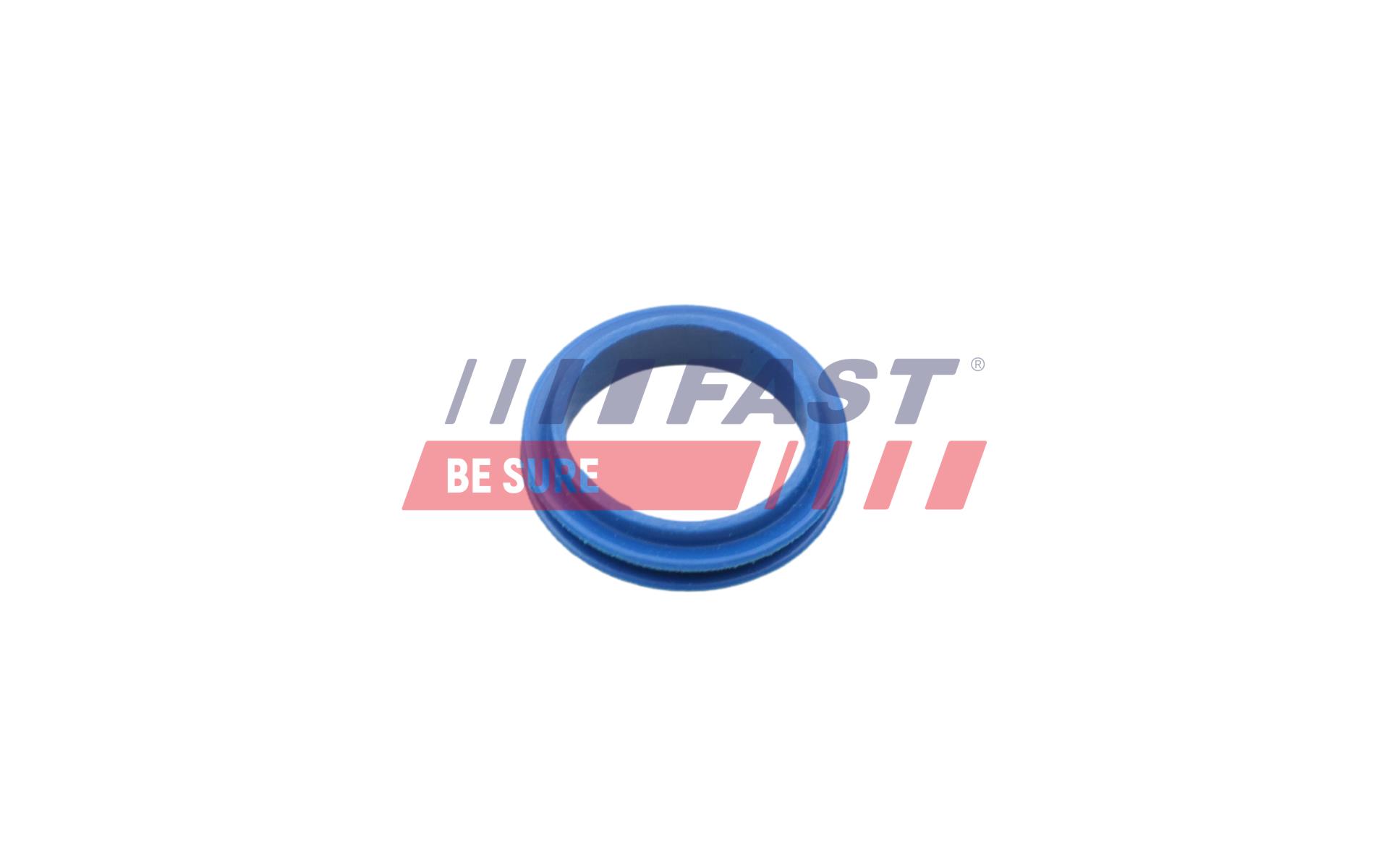 FAST Dichtung, Ölpeilstab ft48955 für Ford