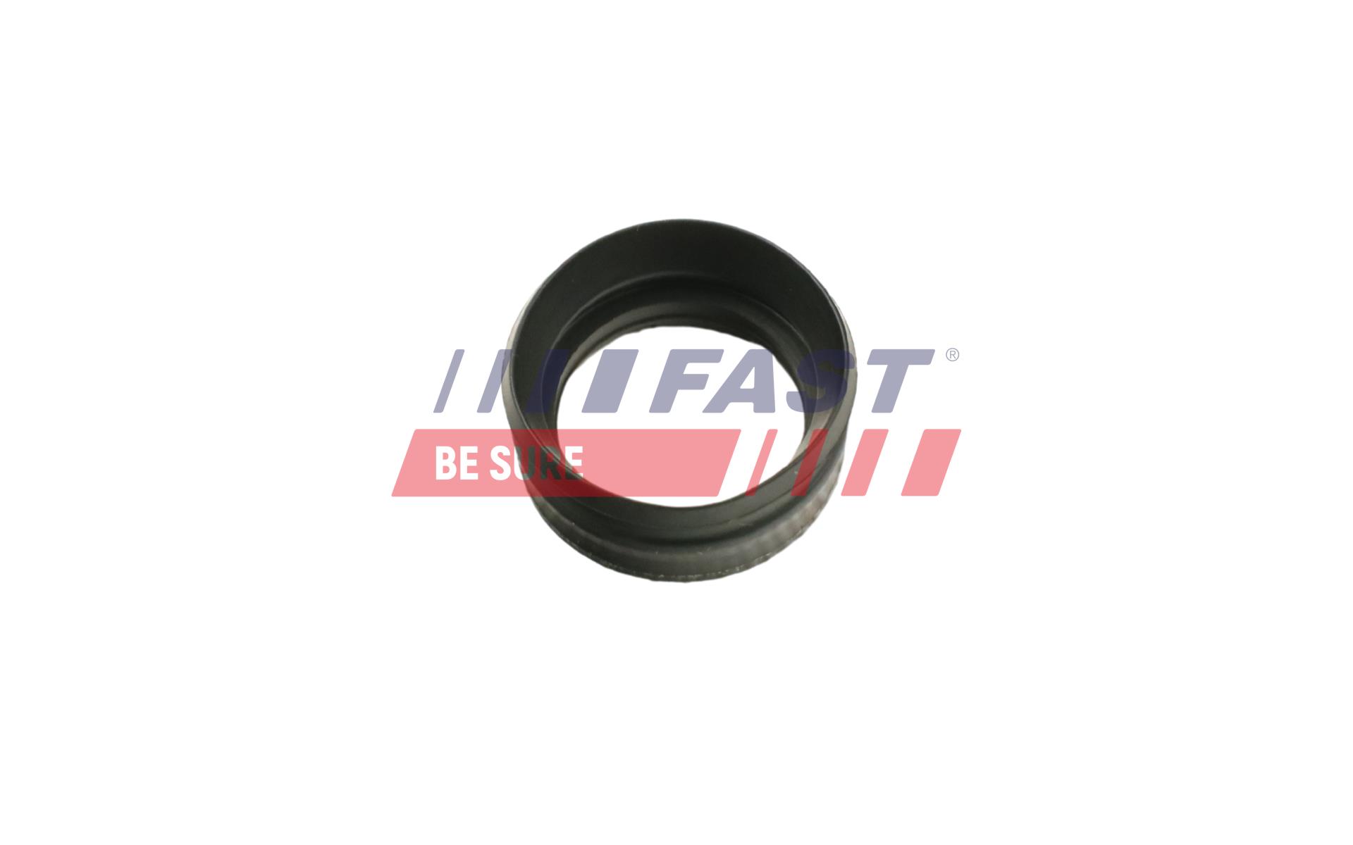 FAST Dichtring, Düsenschacht ft49656 für Iveco Citroën
