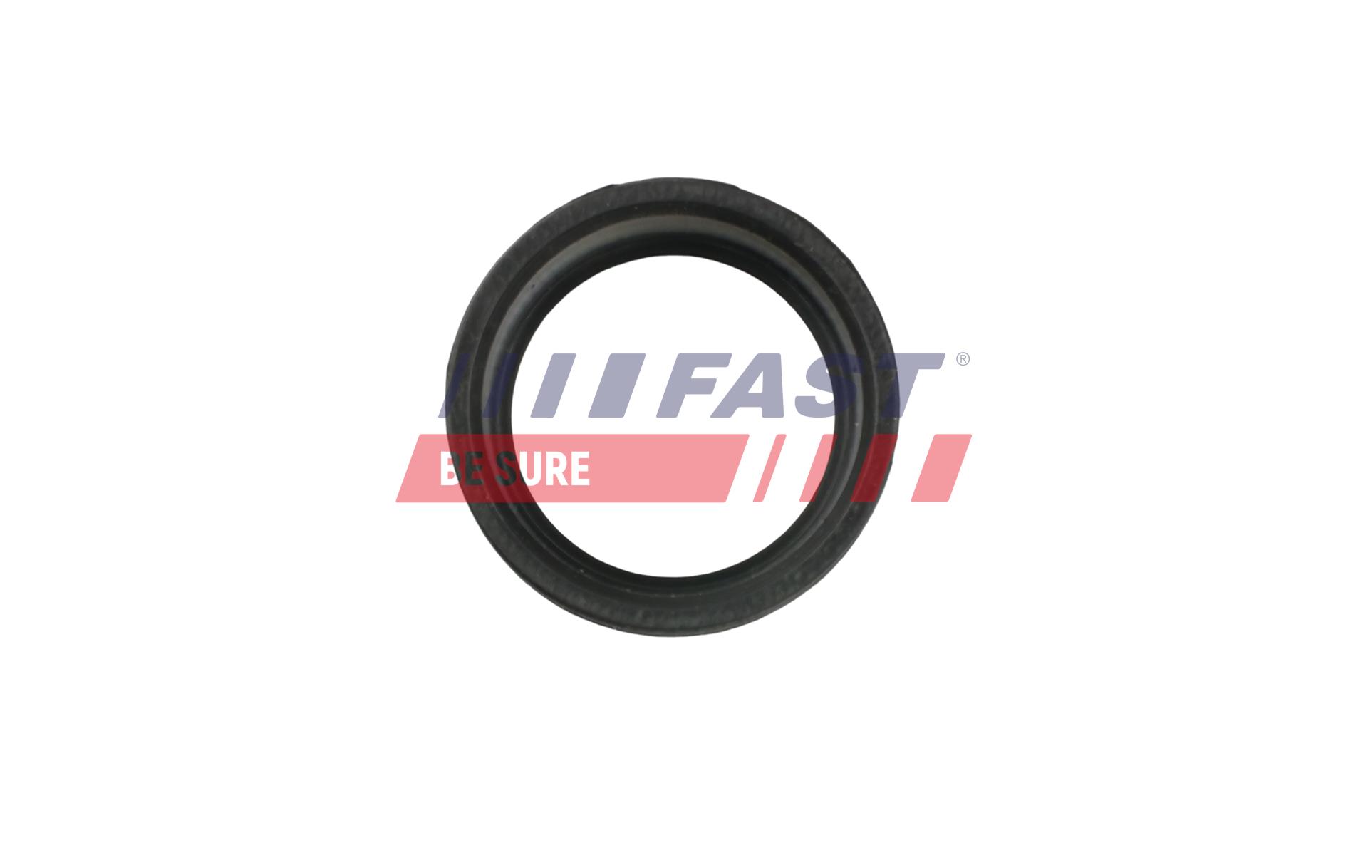 FAST Dichtring, Ladeluftschlauch FT48953 für Mercedes