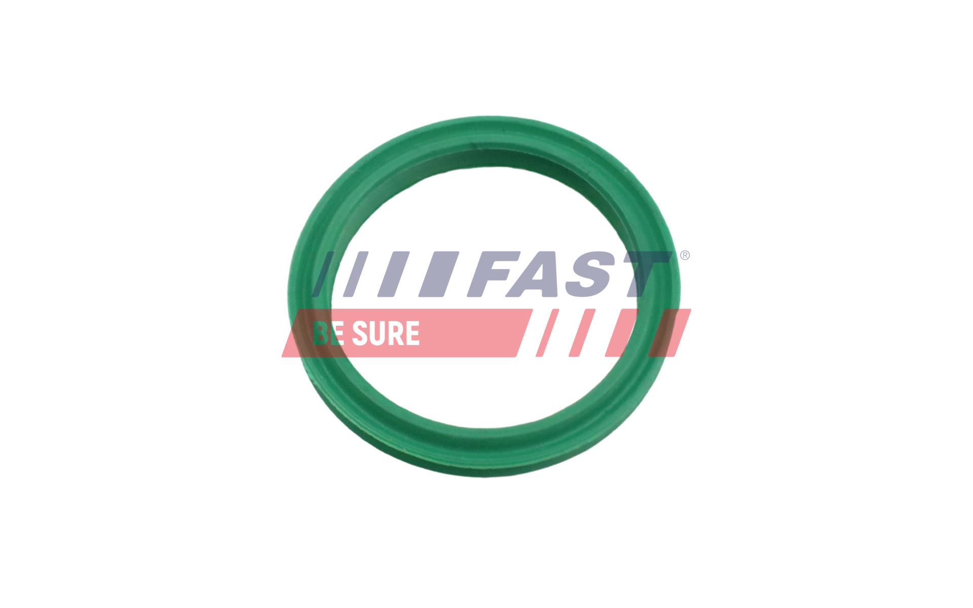 FAST Dichtring, Ladeluftschlauch ft48962 für NISSAN RENAULT