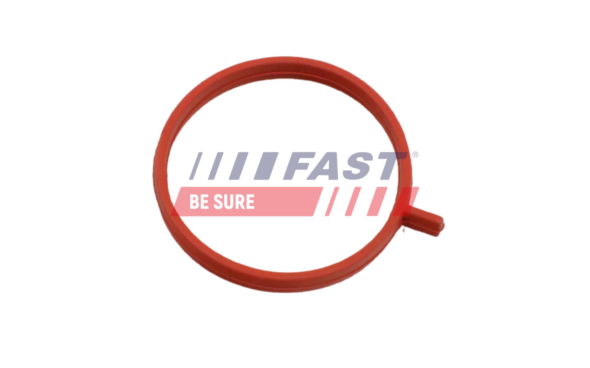 FAST Dichtring, Ladeluftschlauch ft48963 für Fiat