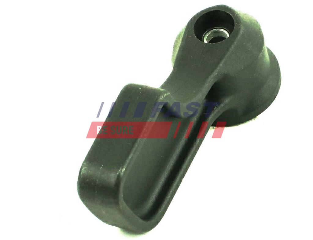 FAST Türgriff, Innenausstattung ft94581 Seitenwand für Iveco