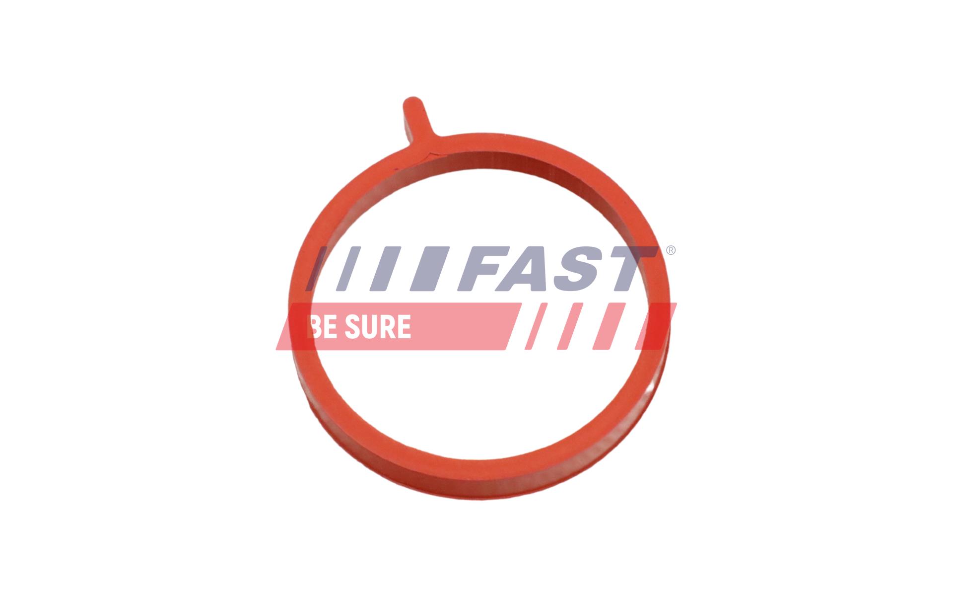 FAST Dichtring, Ladeluftschlauch ft48964 für JEEP