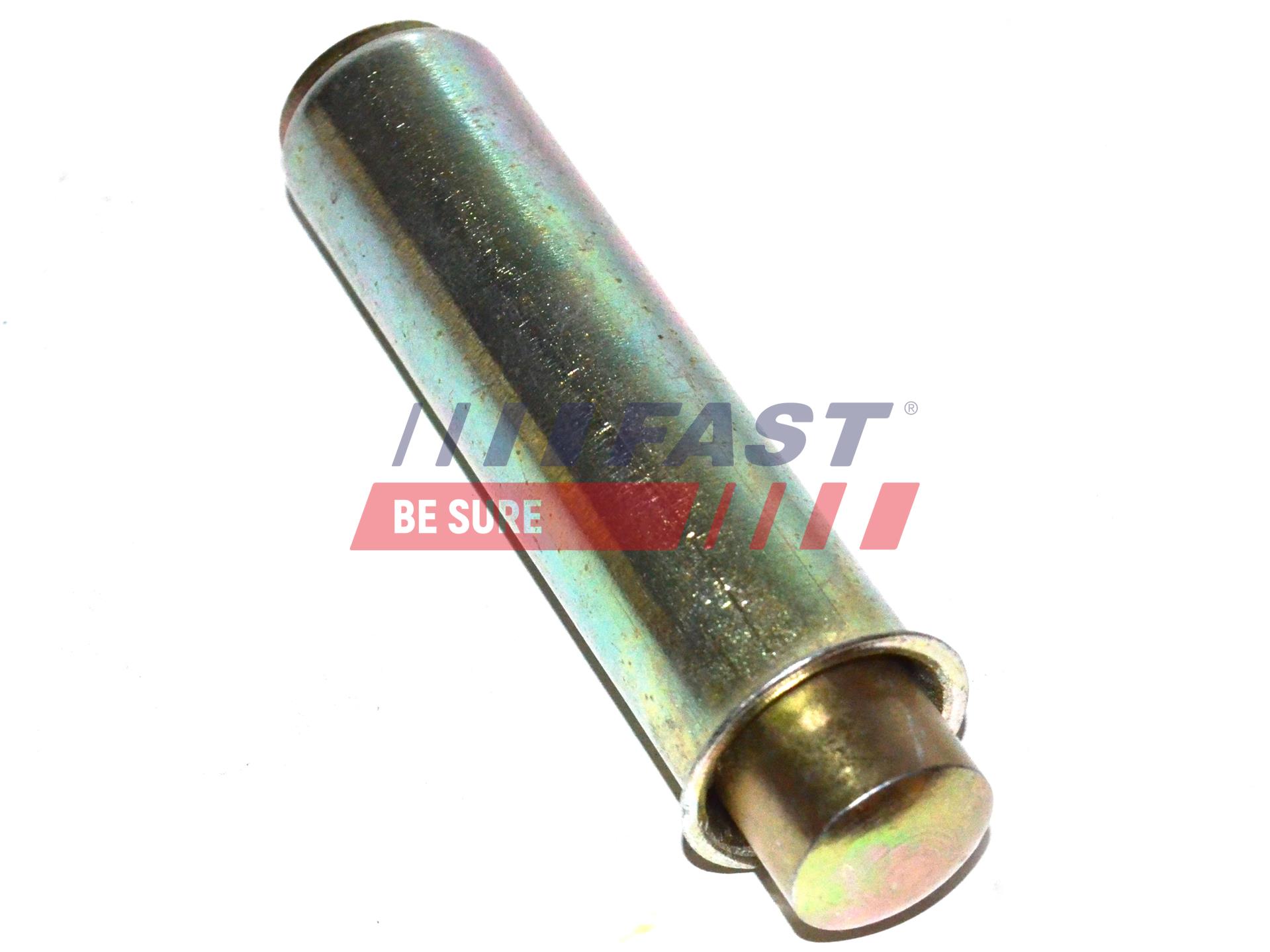 FAST Schwingungsdämpfer, Zahnriemen ft44081 für Iveco Citroën RENAULT