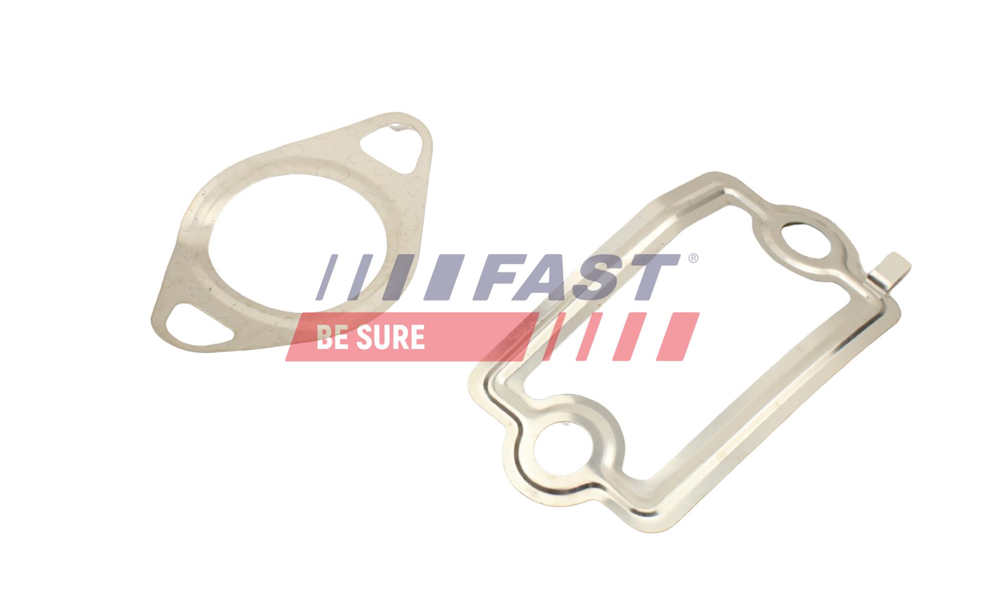 FAST Dichtungssatz, AGR-System ft49925 für Fiat