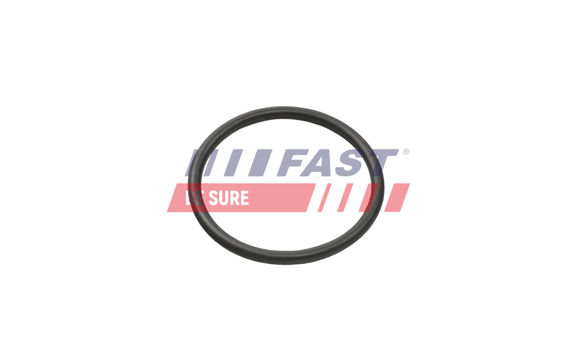 FAST Dichtring, Ladeluftschlauch ft49935 für Opel Citroën