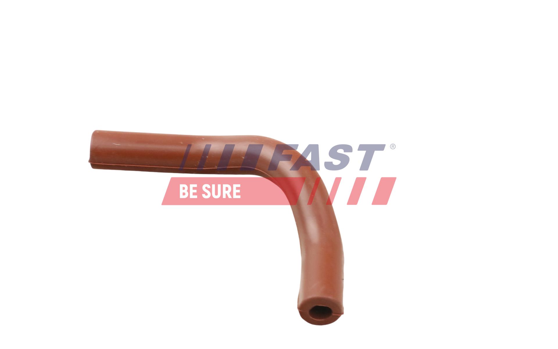 FAST Rohrleitung, AGR-Ventil ft63808 für RENAULT