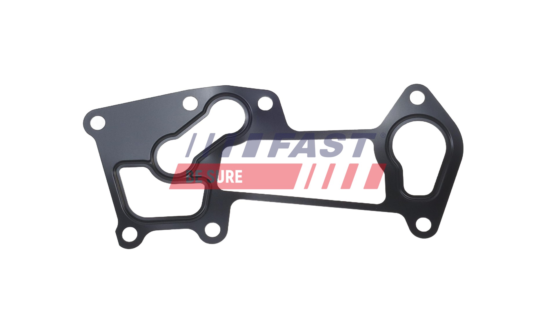 FAST Dichtung ft49076 für Iveco