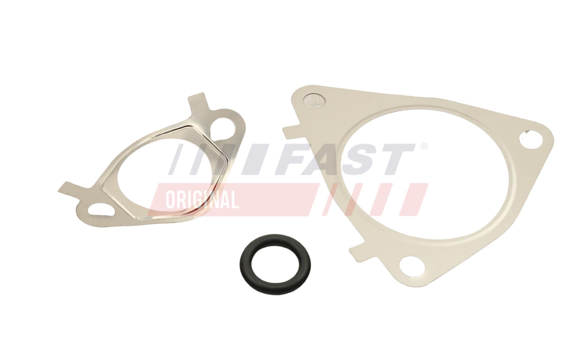 FAST Dichtungssatz, AGR-System ft50617 für VW Iveco Citroën