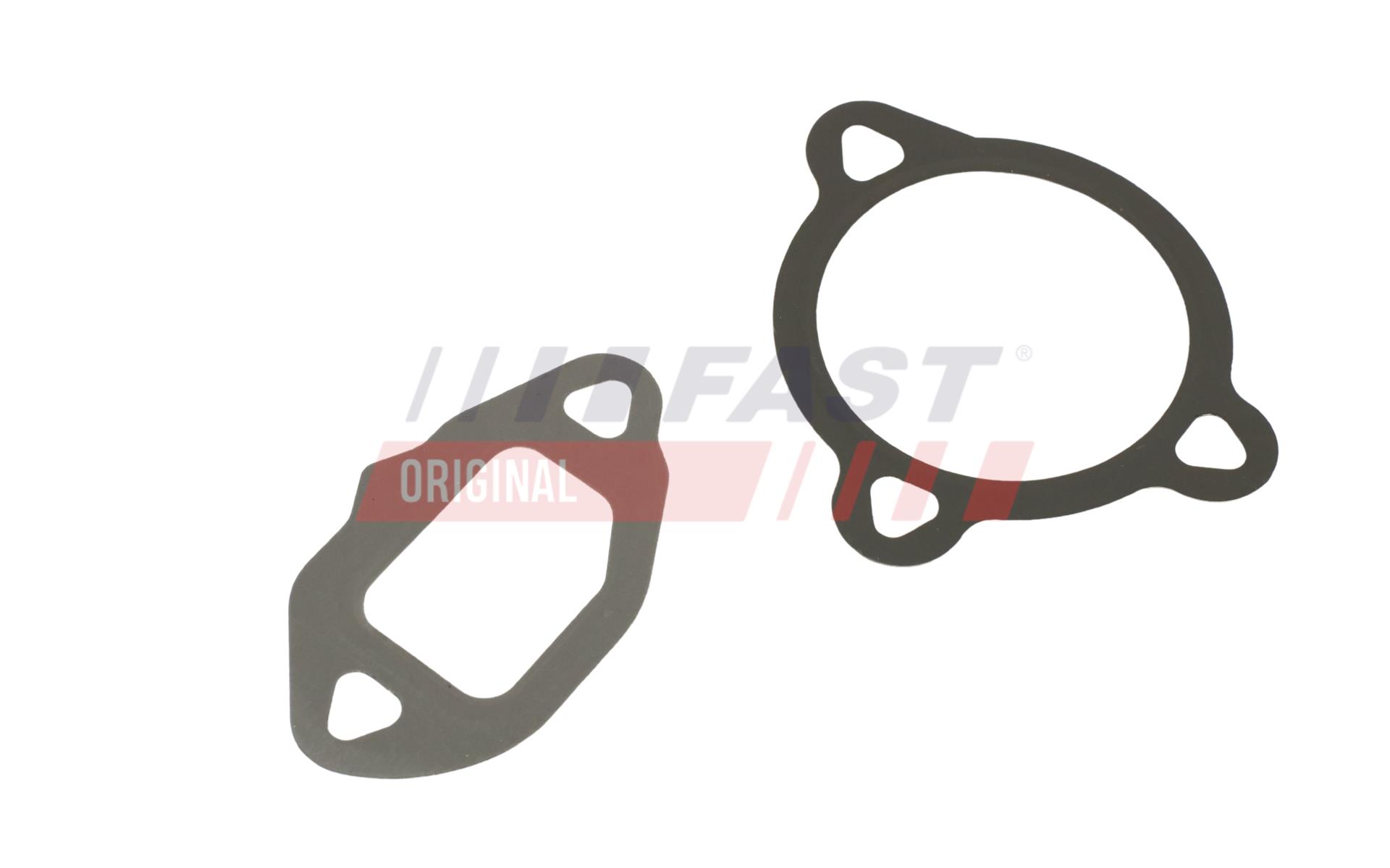 FAST Dichtungssatz, AGR-System ft50606 für Fiat