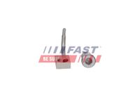 Fast �ld�se, Kolbenbodenk�hlung, Art.-Nr. FT12976