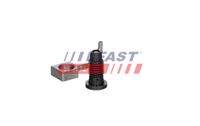 Fast �ld�se, Kolbenbodenk�hlung, Art.-Nr. FT12975