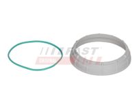 Fast Dichtung, Tankgeber, Art.-Nr. FT94642