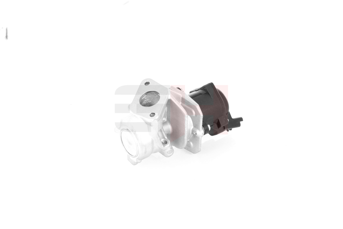 GH AGR-Ventil gh732549 für Peugeot Ford Volvo TOYOTA