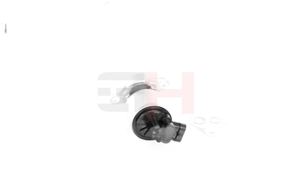 GH AGR-Ventil gh733747 für Citroën Peugeot LAND ROVER FERRARI VW