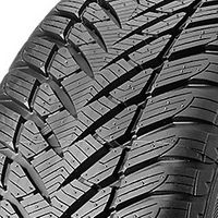 Goodyear Winterreifen "245/50R17 99H - Eagle UltraGrip GW-3 ROF", Art.-Nr. 516884