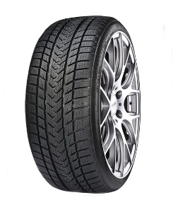 Gripmax GRIPMAX - REIFEN Winterreifen [Gripmax] 225/50R19 100V Status Pro Winter 082562 225/50 R19 225/50 R19