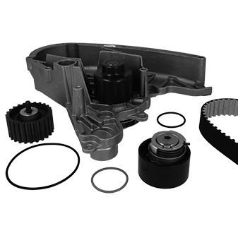 METELLI Wasserpumpe + Zahnriemensatz 3009001 für Iveco Fiat