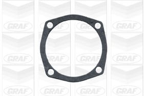 Graf Wasserpumpe Pa101 Für Alfa Romeo Nissan