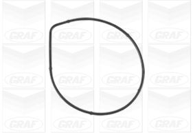 Graf Wasserpumpe Pa1072 Für Audi Skoda Seat Vw (Faw)