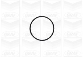 Graf Wasserpumpe Pa1155 Für Lancia