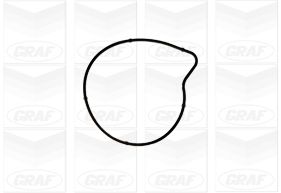 Graf Wasserpumpe Pa1179 Für Mercedes