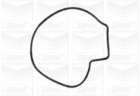 Graf Wasserpumpe Pa1252 Für Vaughall