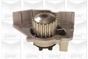 Graf Wasserpumpe Pa348 Für Peugeot Citroën Fiat