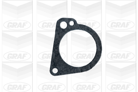 Graf Wasserpumpe Pa440 Für Ford