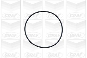 Graf Wasserpumpe Pa577 Für Vaughall Opel