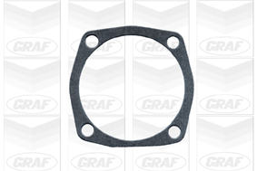 Graf Wasserpumpe Pa585 Für Lancia Fiat