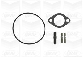 Graf Wasserpumpe Pa607 Für Fiat Peugeot