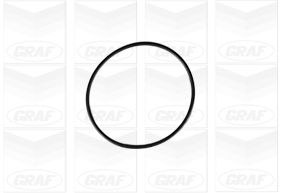 Graf Wasserpumpe Pa662 Für Audi