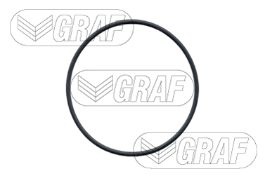 Graf Wasserpumpe Pa683 Für Peugeot