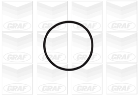 Graf Wasserpumpe Pa837 Für Peugeot Fiat