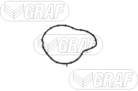 Graf Wasserpumpe Pa1396 Für Ford Opel Fiat Ds Peugeot Toyota