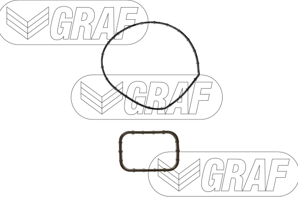 Graf Wasserpumpe Pa14158 Für Opel Vaughall