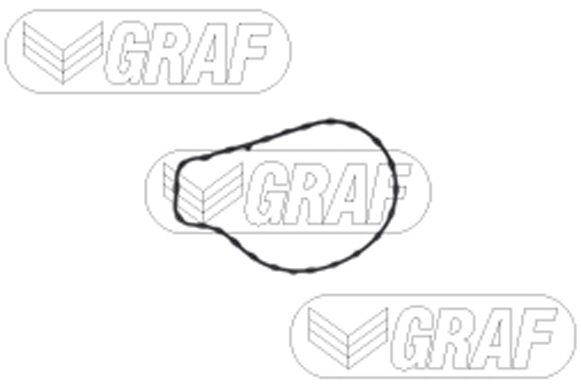 Graf Wasserpumpe Pa1515 Für Toyota