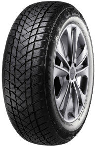 GT Radial GT RADIAL Winterreifen [GT Radial] 205/65R15 94T - WinterPro2 100a4947 205/65 R15 205/65 R15