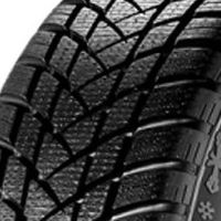 GT Radial Winterreifen "[GT Radial] 225/55R16 99H - WinterPro2", Art.-Nr. 100A4945