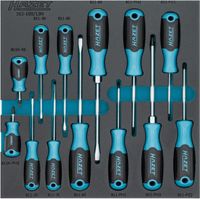 HAZET Schraubendrehersatz, Art.-Nr. 163-100/13N