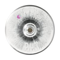 HENGST FILTER Kraftstofffilter, Art.-Nr. H351WK