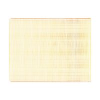HENGST FILTER Luftfilter, Art.-Nr. E243L