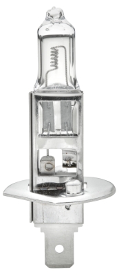 HELLA Glühlampe, Nebelscheinwerfer 8gh002089491 H1 für MAN