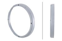 HELLA Rahmen, Fernscheinwerfer, Art.-Nr. 9AG 168 666-001